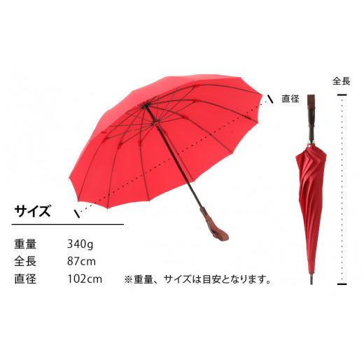 ふるさと納税 ファッション 福井県 福井市 ヌレンザ 雨傘(親骨60cm) 黒 K-035001_02 黒の画像