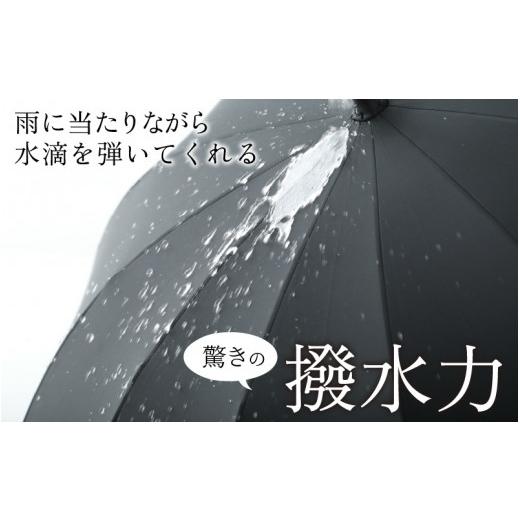 ふるさと納税 ファッション 福井県 福井市 ヌレンザ 雨傘(親骨60cm) つつじ K-035001_03 つつじの画像