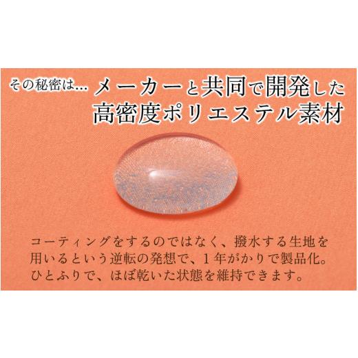 ふるさと納税 ファッション 福井県 福井市 ヌレンザ 雨傘(親骨60cm) トキワ K-035001_08 トキワの画像