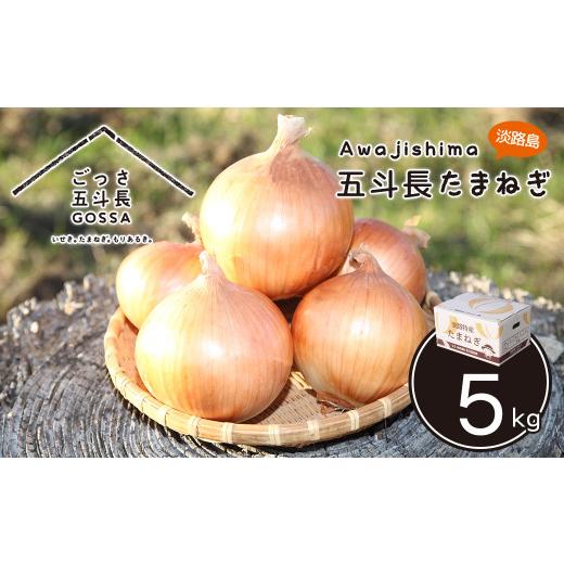 ふるさと納税 野菜類 玉ねぎ 兵庫県 淡路市 五斗長たまねぎ 5kg 淡路島産玉ねぎ 5kg