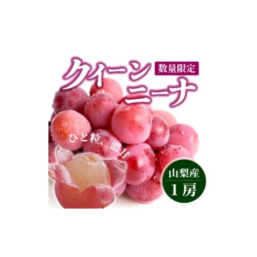 ふるさと納税 ぶどう 山梨県 山梨市 数量限定 希少品種 『クイーンニーナ 1房』ぶどうの赤い宝石。山梨県産の注目品種でおすすめ 1041238