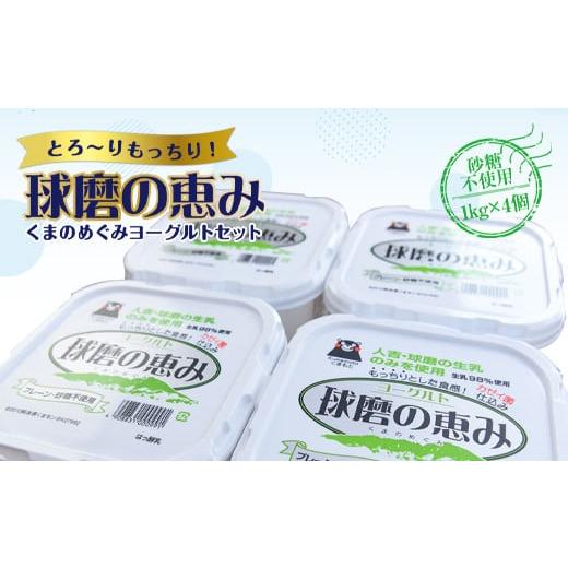 ふるさと納税 菓子 ヨーグルト 熊本県 湯前町 順次発送 ヨーグル党総選挙 ム党の部 第2位受賞 球磨の恵みヨーグルトセット(砂糖不使用1kg×4個) 順次発送 …