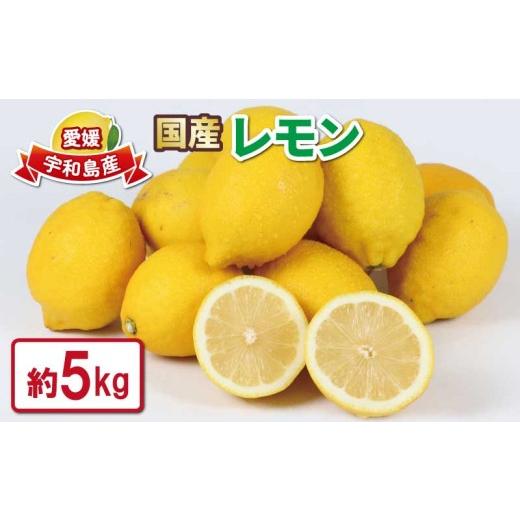 ふるさと納税 果物類 愛媛県 宇和島市 レモン 5kg つばさ農園 先行予約 防腐剤 ・ ワックス 不使用 remon lermon青レモン れもん 檸檬 レモン果汁 酸味 高級 …