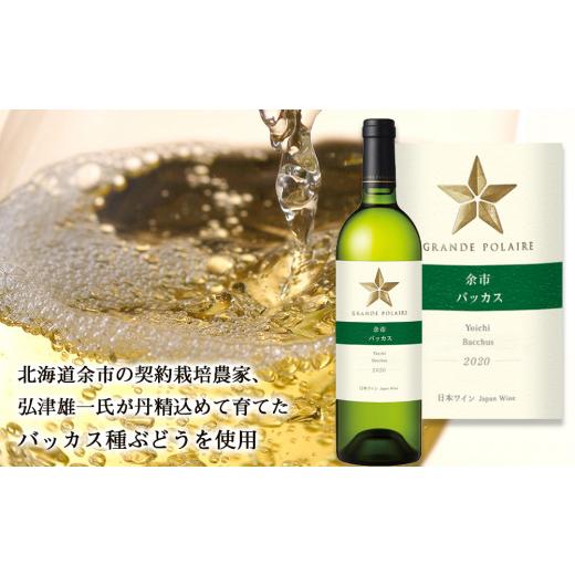 ふるさと納税 北海道 余市町 【ワインが選べる！】余市産ぶどう使用 シャンプー＋ワインセット《リノ クロノシャルム》 