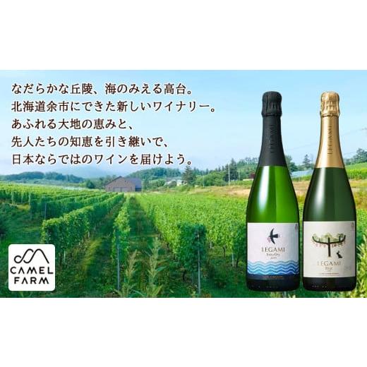 ふるさと納税 北海道 余市町 【ワインが選べる！】余市産ぶどう使用 シャンプー＋ワインセット《リノ クロノシャルム》 
