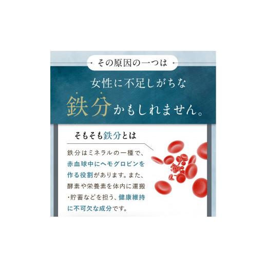 ふるさと納税 茨城県 古河市  サジージュース 100% 1000ml×2本セット サジー シーベリー 沙棘 グアマラル 健康ドリンク 健康 美容 栄養 果汁 鉄分補給 栄養補…｜furusatochoice｜06