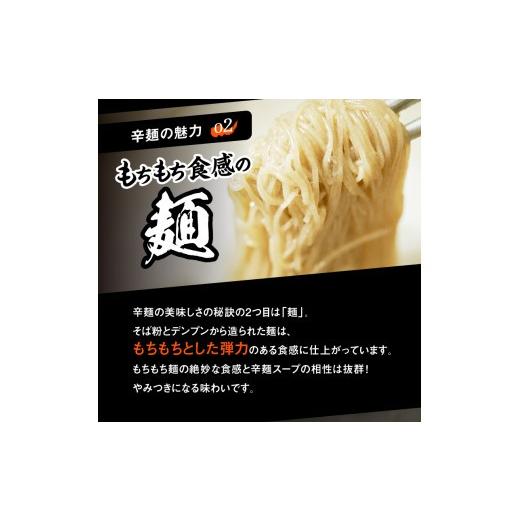 ふるさと納税 ラーメン 宮崎県 延岡市 辛麺4食・なんこつ1セット 6ヶ月定期便 N040-YG0210_6