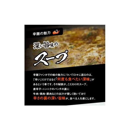 ふるさと納税 ラーメン 宮崎県 延岡市 辛麺4食・なんこつ1セット 6ヶ月定期便 N040-YG0210_7