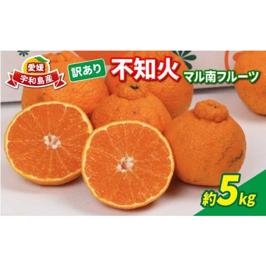 ふるさと納税 果物類 みかん 愛媛県 宇和島市 訳あり 不知火 ( デコポン と同品種) 5kg マル南フルーツ 先行予約 果物 くだもの わけあり 訳あり品 フルーツ …