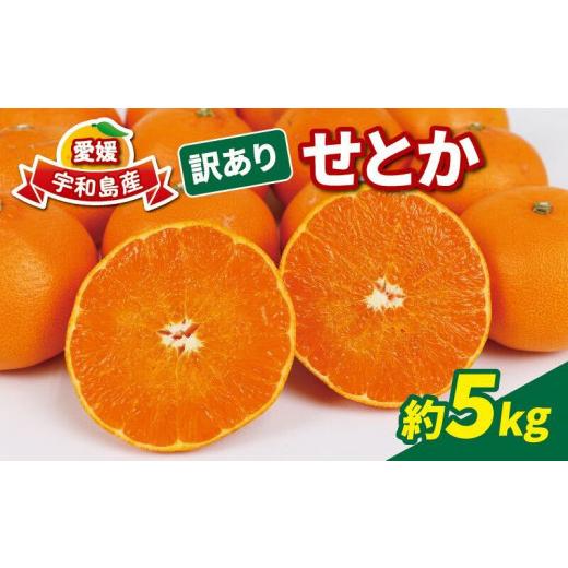 ふるさと納税 梨 愛媛県 宇和島市 訳あり せとか 5kg マル南フルーツ 先行予約 柑橘の大トロ 高級 ブランド 希少 品種 mikan 愛媛みかん 愛媛蜜柑 愛媛ミカン …