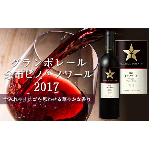 ふるさと納税 ワイン 北海道 余市町 グランポレール 〜余市ピノ・ノワール 2017 〜