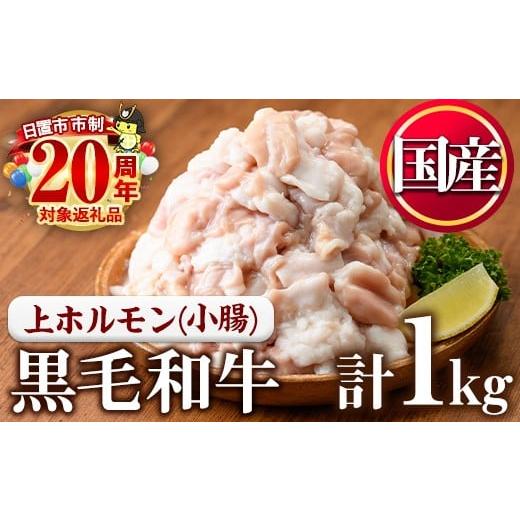ふるさと納税 牛肉 ホルモン 鹿児島県 日置市 No.1001-02 黒毛和牛上ホルモン(計1kg) 寄附額改定 カミチク 黒毛和牛上ホルモン(計1kg)