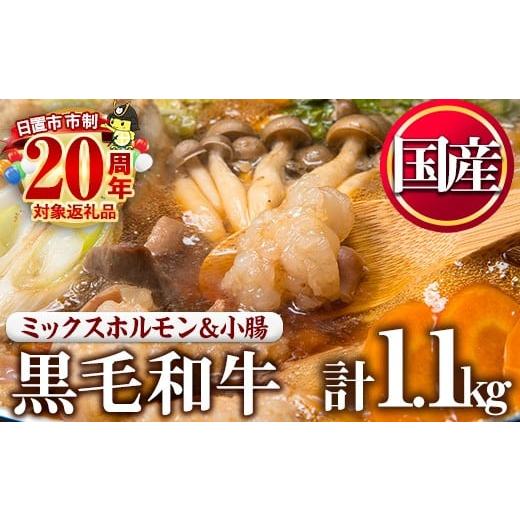 ふるさと納税 牛肉 ホルモン 鹿児島県 日置市 No.1001-04 国産黒毛和牛ミックスホルモン、上ホルモン(合計1.1kg) 寄附額改定 カミチク 黒毛和牛ミックスホルモ…