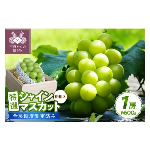 ふるさと納税 ぶどう マスカット 山梨県 甲府市 〈2026年度配送分〉 桐箱入り 特選 シャインマスカット1房(約600g) シャインマスカット 先行予約 2026年 山梨…_1