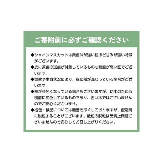ふるさと納税 ぶどう マスカット 山梨県 甲府市 〈2026年度配送分〉 桐箱入り 特選 シャインマスカット1房(約600g) シャインマスカット 先行予約 2026年 山梨…_8