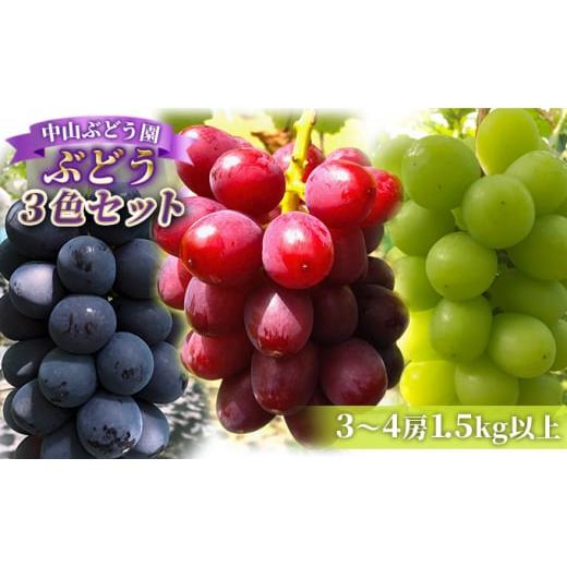 ふるさと納税 ぶどう 巨峰 長野県 生坂村 2026年先行予約 旬のぶどう おまかせ3色セット(ナガノパープルまたはシャインマスカット含む3色 3~4房約1.5kg以上…