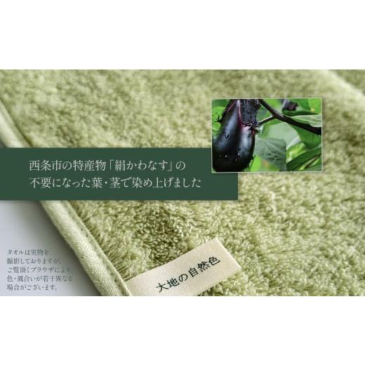 ふるさと納税 西洋手ぬぐい・寝具 愛媛県 西条市 西洋手ぬぐい 汗手拭い 「領域の気取らないを染める西洋手ぬぐい」 西洋手ぬぐい汗手拭い 3枚仕かける（3色） 生まれながら産業 草木染 西条市 河上工…