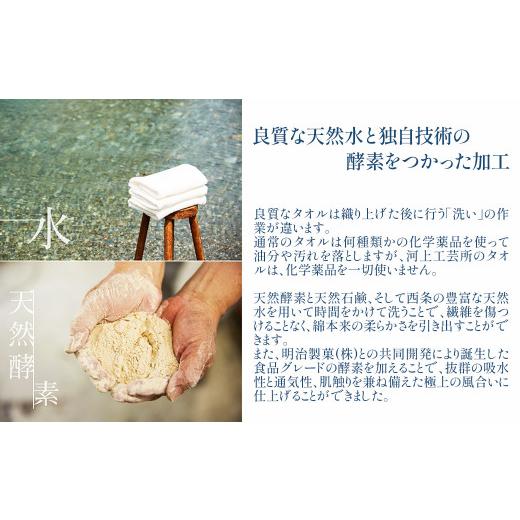 ふるさと納税 西洋手ぬぐい・寝具 愛媛県 西条市 西洋手ぬぐい 汗手拭い 「領域の気取らないを染める西洋手ぬぐい」 西洋手ぬぐい汗手拭い 3枚仕かける（3色） 生まれながら産業 草木染 西条市 河上工…