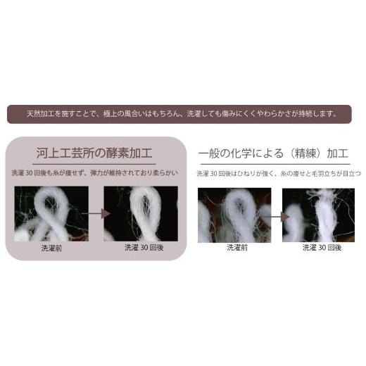 ふるさと納税 西洋手ぬぐい・寝具 愛媛県 西条市 西洋手ぬぐい 汗手拭い 「領域の気取らないを染める西洋手ぬぐい」 西洋手ぬぐい汗手拭い 3枚仕かける（3色） 生まれながら産業 草木染 西条市 河上工…