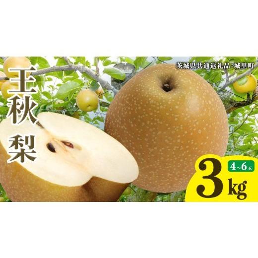 ふるさと納税 梨 茨城県 桜川市 王秋梨 約3kg 4玉〜6玉 (茨城県共通返礼品:城里町) 2026年 梨 なし 和梨 フルーツ 甘い お正月 クリスマス 大玉 直送 茨城 限…