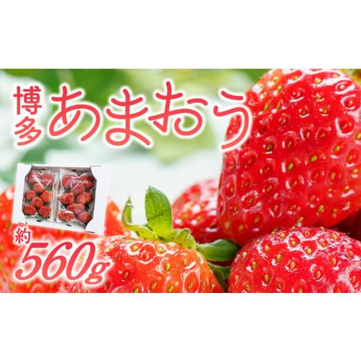 ふるさと納税 いちご 福岡県 久留米市 福岡県産あまおういちご 約280g以上×2パック(大粒) 12月〜2月発送 _いちご あまおう 約280g 以上 × 2パック 約560g…