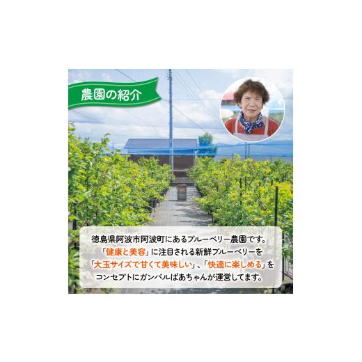 ふるさと納税 体験チケット 徳島県 阿波市 ブルーベリー 狩り 体験 チケット 大人 1人 60分 コース 思い出 農園 観光 フルーツ狩り 果物 徳島県 阿波市 AWA Bl…_6