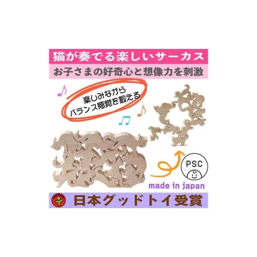 ふるさと納税 地域のお礼の品 長野県 上田市 木のおもちゃ／ネコの自由積み木 psc 世界まる見えテレビ特捜部に登場 知育玩具 出産祝い 型はめ パズル 赤ちゃん…_1