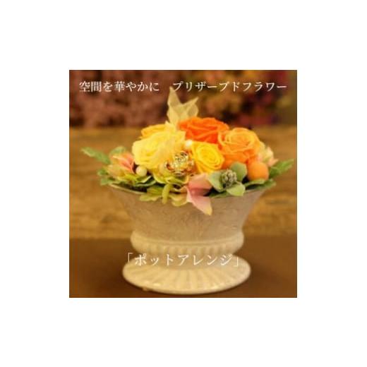 ふるさと納税 花・苗木 長野県 上田市 空間を華やかに　プリザーブドフラワー「ポットアレンジ」　お任せ No.5312-7156 0575 お任せ_1