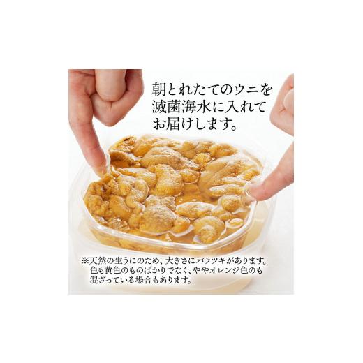 ふるさと納税 ウニ 岩手県 大船渡市 2026年先行予約 うに 国産 生ウニ 150g 先行予約 2026年6月上旬〜発送予定 ミョウバン不使用 生うに うに ウニ 雲丹 天然…_2