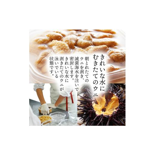 ふるさと納税 ウニ 岩手県 大船渡市 2026年先行予約 うに 国産 生ウニ 150g 先行予約 2026年6月上旬〜発送予定 ミョウバン不使用 生うに うに ウニ 雲丹 天然…_3