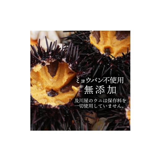 ふるさと納税 ウニ 岩手県 大船渡市 2026年先行予約 うに 国産 生ウニ 150g 先行予約 2026年6月上旬〜発送予定 ミョウバン不使用 生うに うに ウニ 雲丹 天然…_5