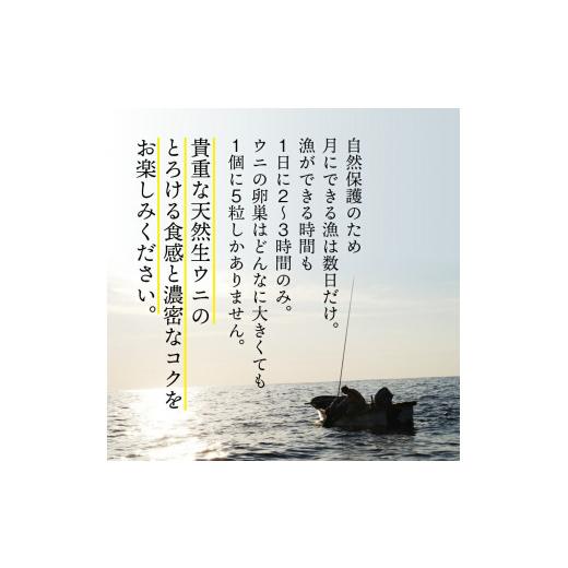ふるさと納税 ウニ 岩手県 大船渡市 2026年先行予約 うに 国産 生ウニ 150g 先行予約 2026年6月上旬〜発送予定 ミョウバン不使用 生うに うに ウニ 雲丹 天然…_6