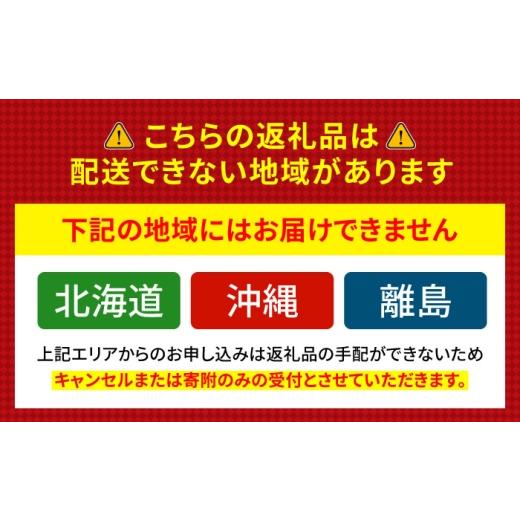 ふるさと納税 寿司 福井県 小浜市  着日指定可 焼き鯖すし2種食べ比べ めんたい セット 配送不可地域：北海道、北東北（秋田、青森、岩手）、九州、沖縄、離島…_9