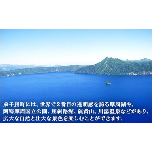 ふるさと納税 北海道 弟子屈町 1816. 摩周湖の天然水 水 非加熱製法 500ml×16本 硬度 18.1mg／L ミネラルウォーター 飲料水 軟水 弱アルカリ性 湧水 備蓄 非…｜furusatochoice｜08