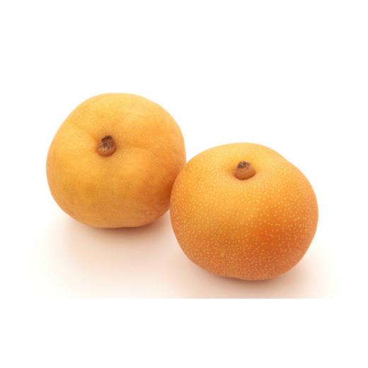 ふるさと納税 梨 新潟県 三条市 先行予約 梨 新美月 特秀品 約5kg 糖度13度以上を厳選 梨 2026年産 令和8年度 梨 新潟オリジナル 梨 新潟県産 梨 天果糖逸 な…_2