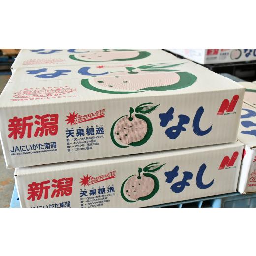 ふるさと納税 梨 新潟県 三条市 先行予約 梨 新美月 特秀品 約5kg 糖度13度以上を厳選 梨 2026年産 令和8年度 梨 新潟オリジナル 梨 新潟県産 梨 天果糖逸 な…_5