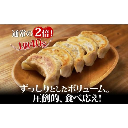 ふるさと納税 惣菜・レトルト 冷凍 北海道 弟子屈町 1813. よだれ餃子 10個入 9パック 計90個 生 餃子 ぎょうざ ギョウザ ギョーザ 冷凍 中華 豚 肉 野菜 厚皮…_2