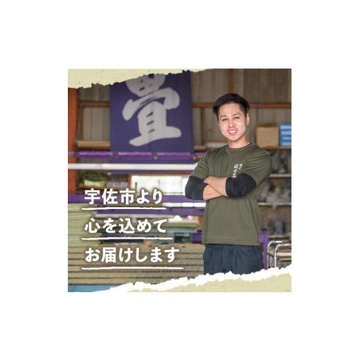 ふるさと納税 家具・装飾品 大分県 宇佐市 畳の積み木 たたみたす カラフル(25個セット)たたみ つみき おもちゃ 出産祝い 誕生日祝い ギフト 113600600 佐々商…_7