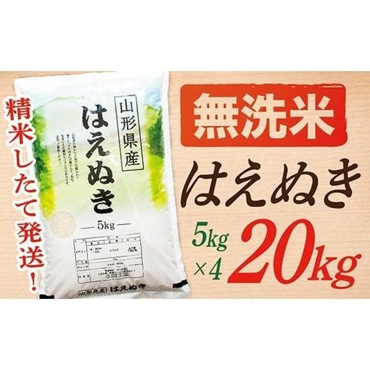 ふるさと納税 無洗米 山形県 最上町 令和7年産 無洗米 山形県産はえぬき20kg_1