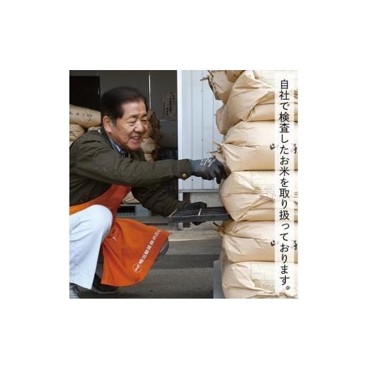 ふるさと納税 無洗米 山形県 最上町 令和7年産 無洗米 山形県産はえぬき20kg_2