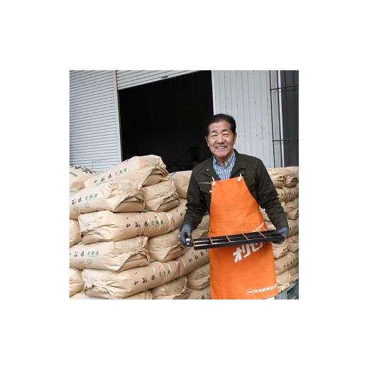 ふるさと納税 無洗米 山形県 最上町 令和7年産 無洗米 山形県産はえぬき20kg_3