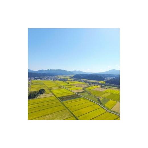 ふるさと納税 無洗米 山形県 最上町 令和7年産 無洗米 山形県産はえぬき20kg_4