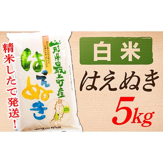 ふるさと納税 山形県 最上町 SA11201-2[令和5年産][白米]山形県産はえぬき5kg