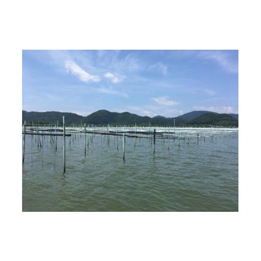 ふるさと納税 アクセサリー ピアス 滋賀県 近江八幡市 琵琶パールと蒔絵のコラボを実現 『ビワパール?』の蒔絵ピアス K18（藤） FG01Wの画像