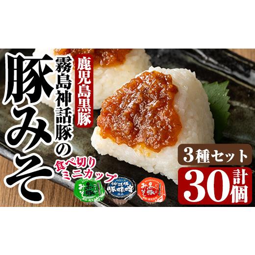 ふるさと納税 味噌 鹿児島県 霧島市 Z6-012-S 霧島神話豚の豚みそ 合計30個(豚味噌10個・ピリ辛味10個・ゴーヤ味10個) 富士食品 霧島市 豚肉 豚味噌 ミソ 味噌…