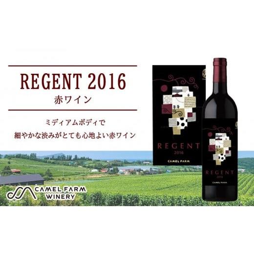 ふるさと納税 ワイン 北海道 余市町 レジェント2016 キャメルファームワイナリー
