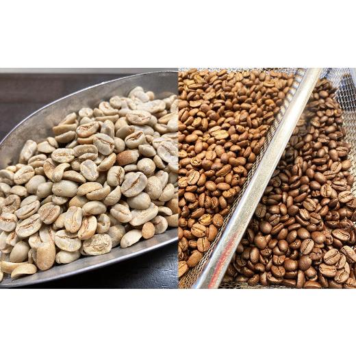 ふるさと納税 コーヒー コーヒー豆 千葉県 鴨川市  カモガワ珈琲の定期便 焙煎したてのコーヒー豆 ３種（170g×３袋）６カ月《豆・隔月発送》  0103-0001 隔…の画像
