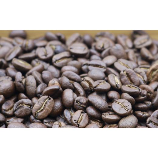 ふるさと納税 コーヒー コーヒー豆 千葉県 鴨川市  カモガワ珈琲の定期便 焙煎したてのコーヒー豆 ３種（170g×３袋）６カ月《粉・毎月発送》  0103-0001 毎…の画像