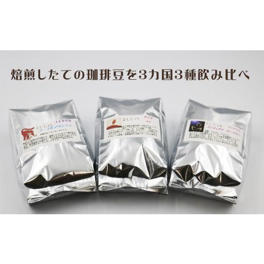 ふるさと納税 コーヒー コーヒー豆 千葉県 鴨川市  カモガワ珈琲の定期便 焙煎したてのコーヒー豆 ３種（170g×３袋）６カ月《粉・毎月発送》  0103-0001 毎…の画像
