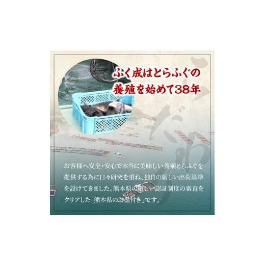 ふるさと納税 フグ 熊本県 天草市 S106-018_「六福?」宅配セット 3〜4人前 firesh? 〈先行受付〉_5